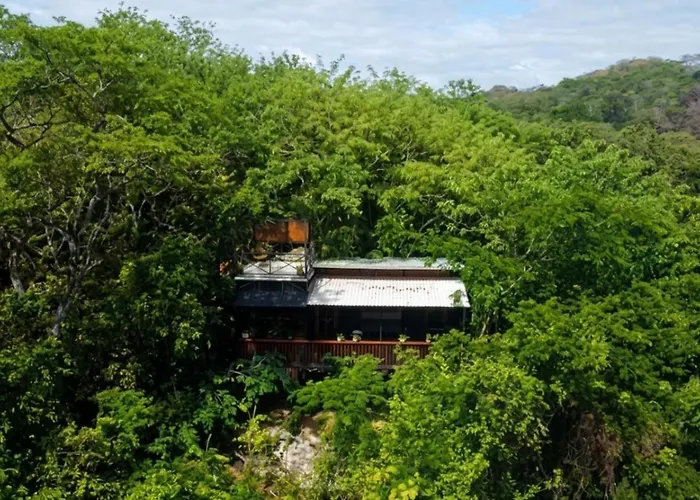 Campo de lujo Cocolhu Treehouse & Ocean View