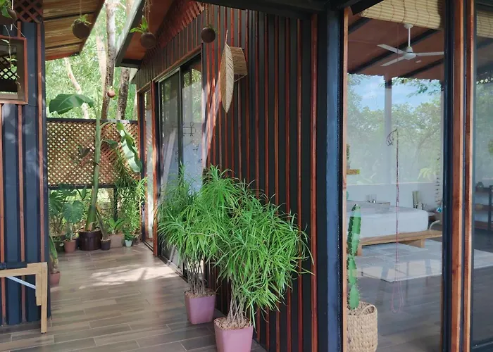 Campo de lujo Cocolhu Treehouse & Ocean View Tamarindo