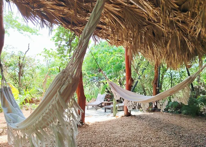 Cocolhu Treehouse & Ocean View Campo de lujo *