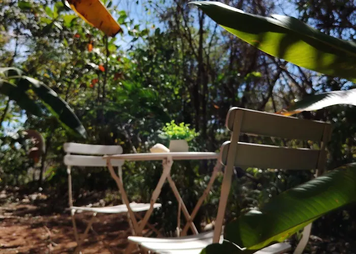 Cocolhu Treehouse & Ocean View Tamarindo