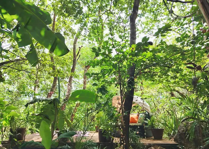 Campo de lujo Cocolhu Treehouse & Ocean View Tamarindo
